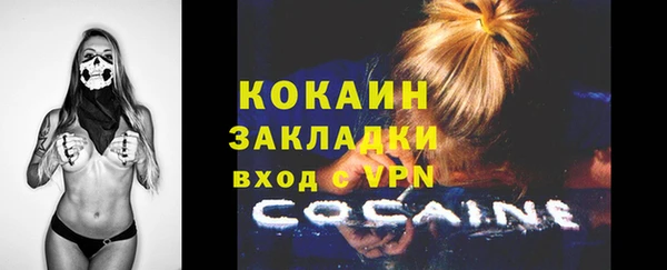 мдпв Горняк