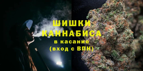 стафф Горнозаводск