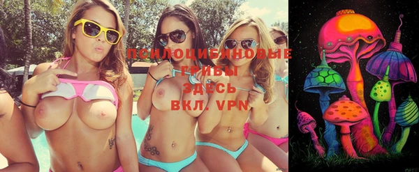 мдпв Горняк