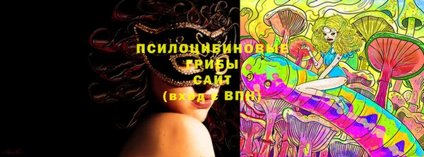 стафф Горнозаводск