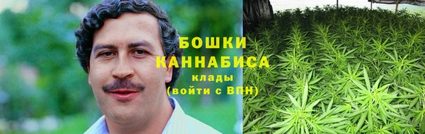 МДПВ Горно-Алтайск