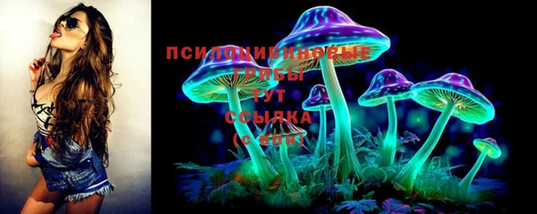 МДПВ Горно-Алтайск